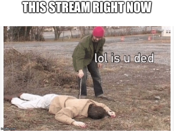Lol is u ded | THIS STREAM RIGHT NOW | image tagged in lol is u ded | made w/ Imgflip meme maker