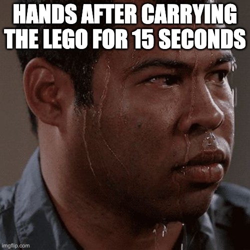 lego |  HANDS AFTER CARRYING THE LEGO FOR 15 SECONDS | image tagged in sweaty tryhard | made w/ Imgflip meme maker