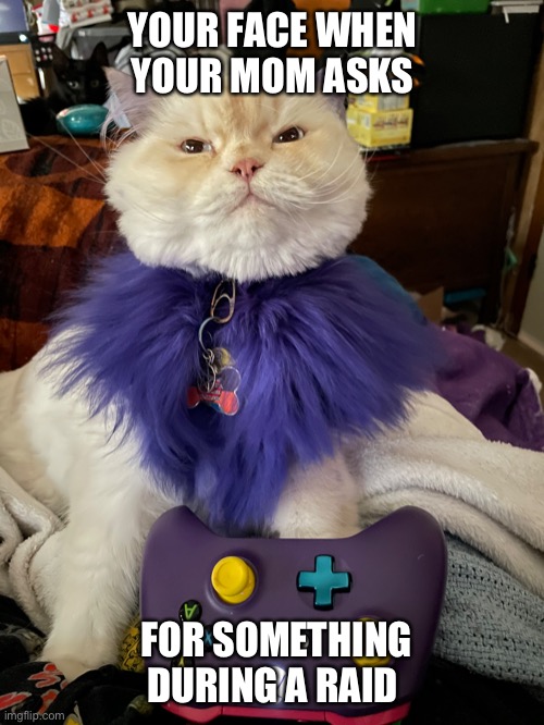 Gamer cat | YOUR FACE WHEN YOUR MOM ASKS; FOR SOMETHING DURING A RAID | image tagged in gamer,video games,cats,cat | made w/ Imgflip meme maker