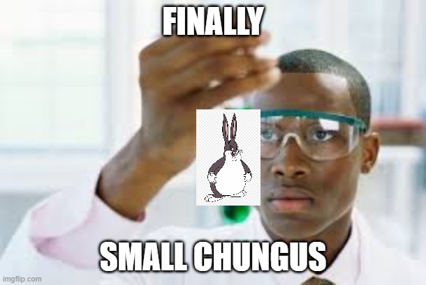 Small Chungus is here! | FINALLY; SMALL CHUNGUS | image tagged in finally,memes,big chungus | made w/ Imgflip meme maker