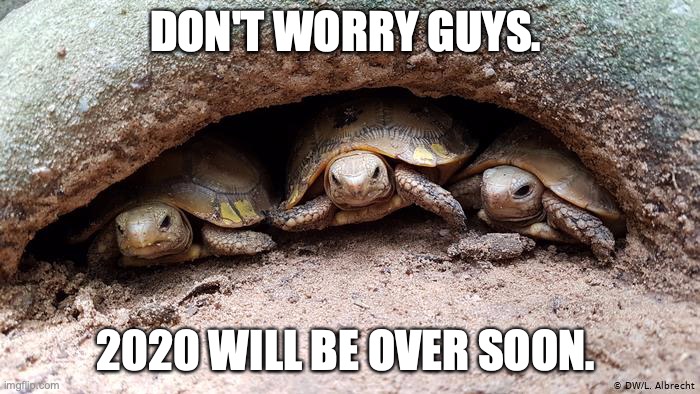 2020 | DON'T WORRY GUYS. 2020 WILL BE OVER SOON. | image tagged in 2020,new year,2020 sucks,happy new year | made w/ Imgflip meme maker