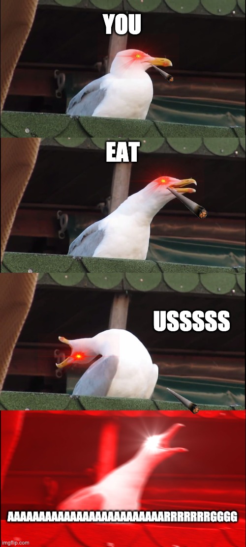die seagull | YOU; EAT; USSSSS; AAAAAAAAAAAAAAAAAAAAAAAAARRRRRRRGGGG | image tagged in memes,inhaling seagull | made w/ Imgflip meme maker