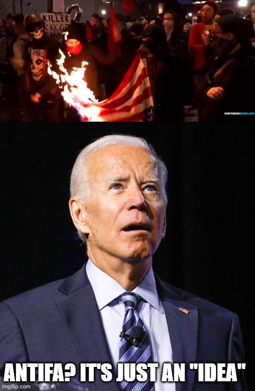 ANTIFA? IT'S JUST AN "IDEA" | image tagged in joe biden | made w/ Imgflip meme maker