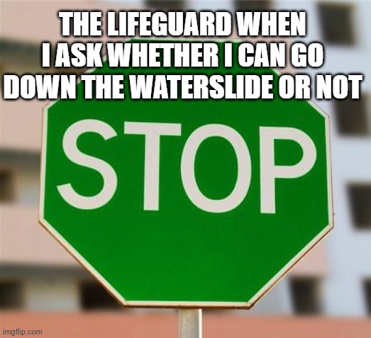 Green stop sign  | THE LIFEGUARD WHEN I ASK WHETHER I CAN GO DOWN THE WATERSLIDE OR NOT | image tagged in green stop sign,lifeguard,waterslide | made w/ Imgflip meme maker