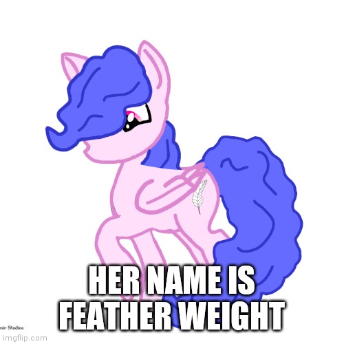 Heh |  HER NAME IS FEATHER WEIGHT | image tagged in my little pony | made w/ Imgflip meme maker