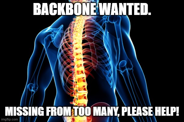 Spine | BACKBONE WANTED. MISSING FROM TOO MANY, PLEASE HELP! | image tagged in spine | made w/ Imgflip meme maker