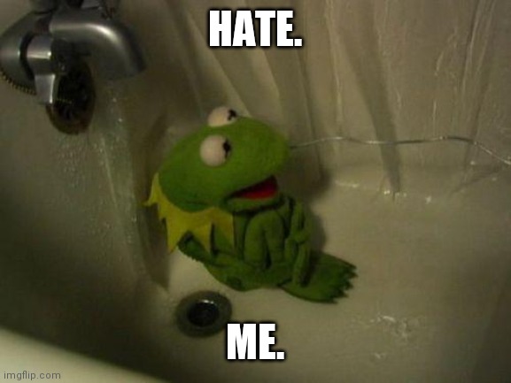 Depressed Kermit | HATE. ME. | image tagged in depressed kermit | made w/ Imgflip meme maker