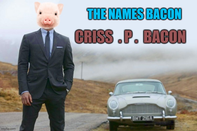 Spy pig | THE NAMES BACON; CRISS  . P .  BACON | image tagged in criss p bacon,meme | made w/ Imgflip meme maker