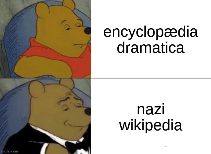 i saw the kwanzaa article and yep | encyclopædia dramatica; nazi wikipedia | image tagged in memes,tuxedo winnie the pooh | made w/ Imgflip meme maker