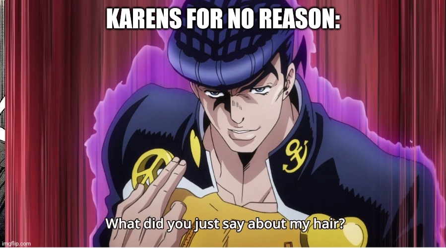 What did you just say about my hair? | KARENS FOR NO REASON: | image tagged in what did you just say about my hair | made w/ Imgflip meme maker
