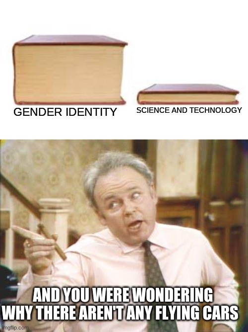 SCIENCE AND TECHNOLOGY; GENDER IDENTITY; AND YOU WERE WONDERING WHY THERE AREN'T ANY FLYING CARS | image tagged in big book small book,political correctness | made w/ Imgflip meme maker