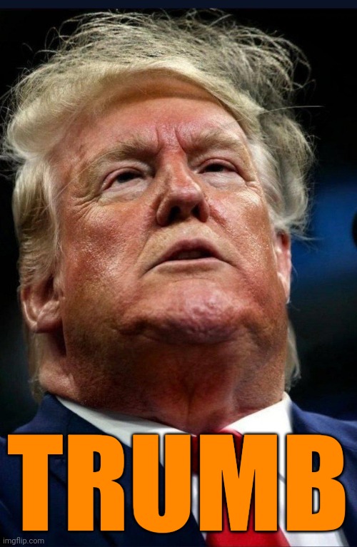 Thumb | TRUMB | image tagged in stupid trump,trump hair,trump biden electors | made w/ Imgflip meme maker