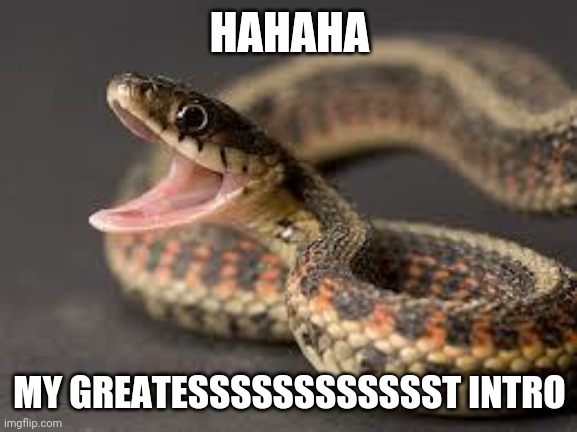 Warning Snake | HAHAHA MY GREATESSSSSSSSSSSST INTRO | image tagged in warning snake | made w/ Imgflip meme maker