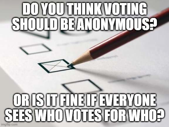 Voting Ballot | DO YOU THINK VOTING SHOULD BE ANONYMOUS? OR IS IT FINE IF EVERYONE SEES WHO VOTES FOR WHO? | image tagged in voting ballot | made w/ Imgflip meme maker