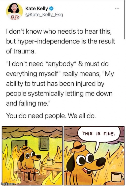 Repost but fits better here than repost stream imo and IDC | image tagged in memes,this is fine,repost,truth | made w/ Imgflip meme maker