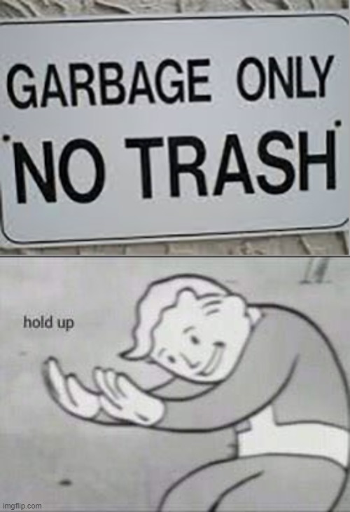Then What am I supposed to throw in | image tagged in fallout hold up | made w/ Imgflip meme maker