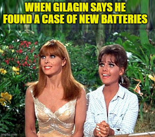 new batteries | WHEN GILAGIN SAYS HE FOUND A CASE OF NEW BATTERIES | image tagged in gilagin,ginger | made w/ Imgflip meme maker