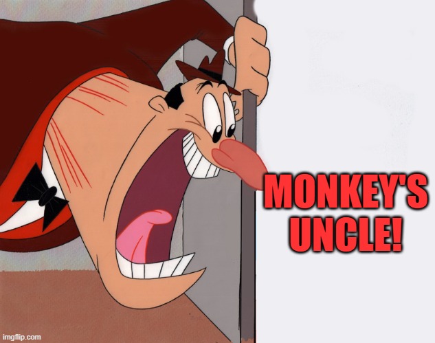 yelling guy | MONKEY'S UNCLE! | image tagged in yelling guy | made w/ Imgflip meme maker