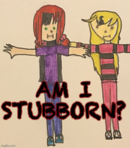 Cassidy & Katie T Posing | AM I STUBBORN? | image tagged in cassidy katie t posing | made w/ Imgflip meme maker