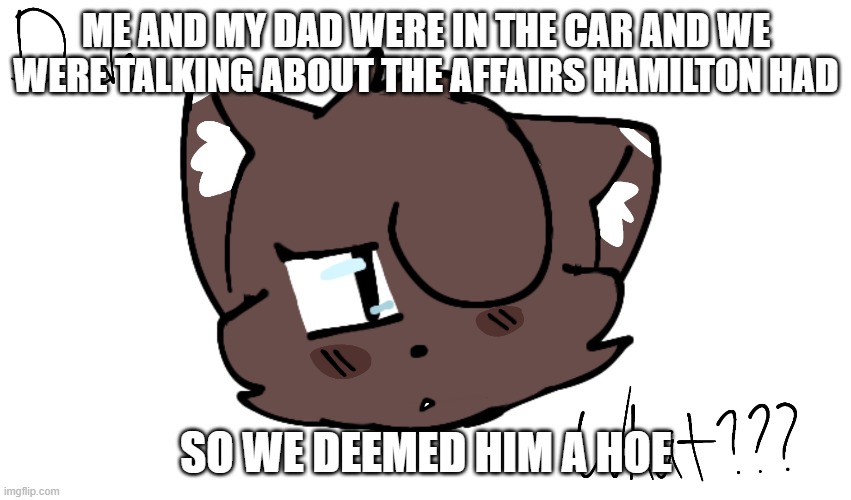 Bruh | ME AND MY DAD WERE IN THE CAR AND WE WERE TALKING ABOUT THE AFFAIRS HAMILTON HAD; SO WE DEEMED HIM A HOE | image tagged in bruh | made w/ Imgflip meme maker