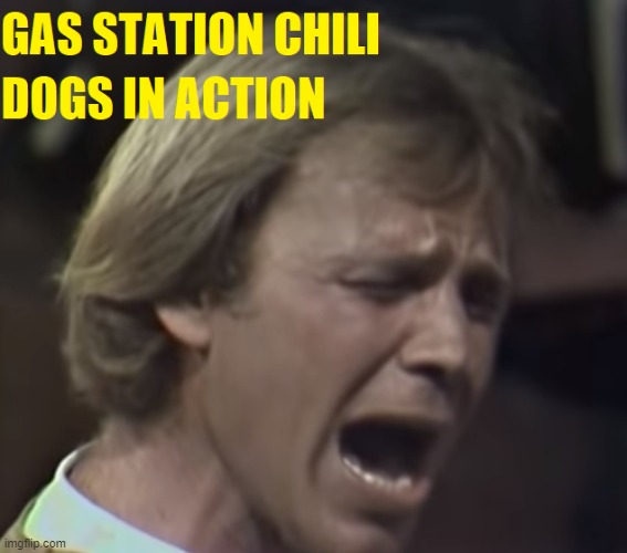 Barry And The Dogs | image tagged in 1960's,1960s,protest,rock and roll,barry | made w/ Imgflip meme maker