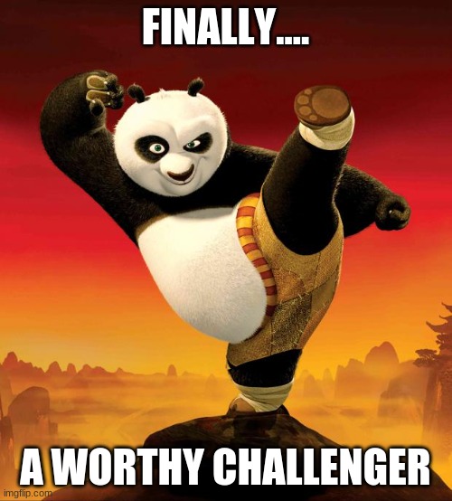 kung fu panda | FINALLY.... A WORTHY CHALLENGER | image tagged in kung fu panda | made w/ Imgflip meme maker