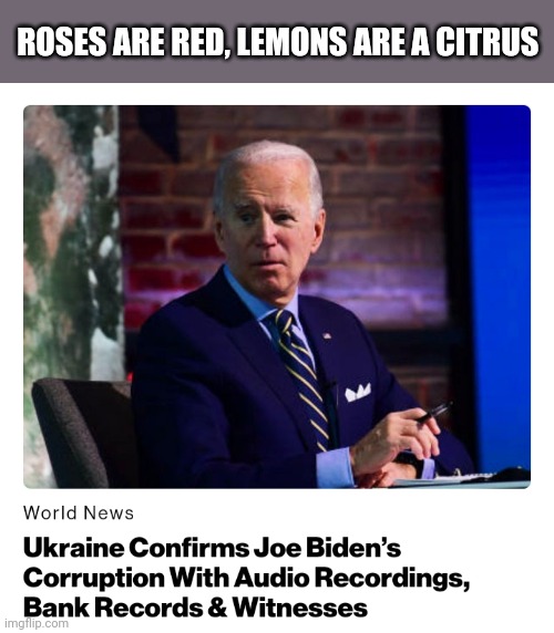Politics and stuff | ROSES ARE RED, LEMONS ARE A CITRUS | image tagged in funny memes | made w/ Imgflip meme maker