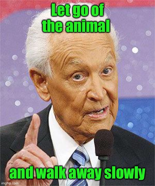 Bob Barker | Let go of the animal and walk away slowly | image tagged in bob barker | made w/ Imgflip meme maker