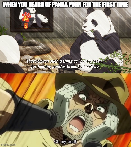 Panda Porn (not really lol) | WHEN YOU HEARD OF PANDA PORN FOR THE FIRST TIME | image tagged in panda | made w/ Imgflip meme maker