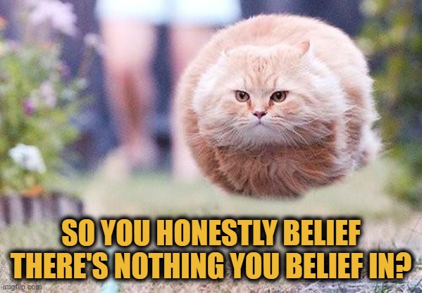 So you honestly belief there's nothing you belief in? | SO YOU HONESTLY BELIEF THERE'S NOTHING YOU BELIEF IN? | image tagged in lolcat,food for thought,belief,cats | made w/ Imgflip meme maker