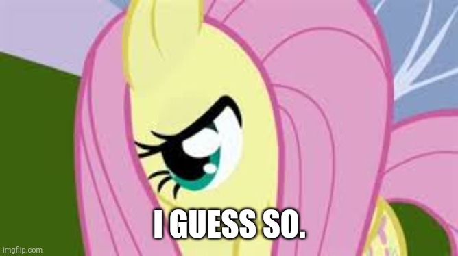 Shy Fluttershy | I GUESS SO. | image tagged in shy fluttershy | made w/ Imgflip meme maker