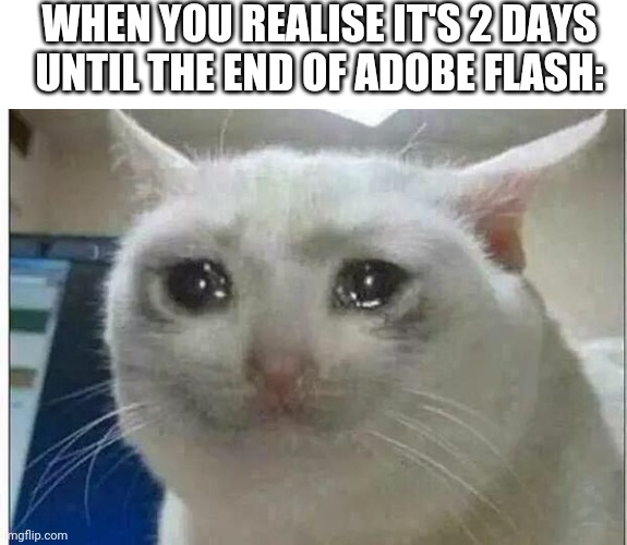 crying cat | WHEN YOU REALISE IT'S 2 DAYS UNTIL THE END OF ADOBE FLASH: | image tagged in crying cat,adobe,flash,rip adobe flash | made w/ Imgflip meme maker
