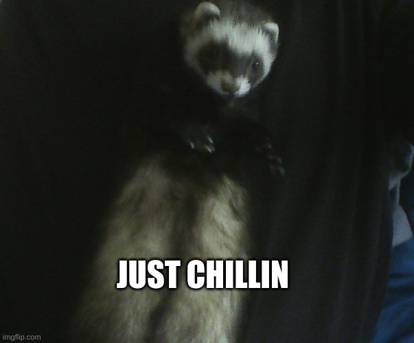 JUST CHILLIN | made w/ Imgflip meme maker