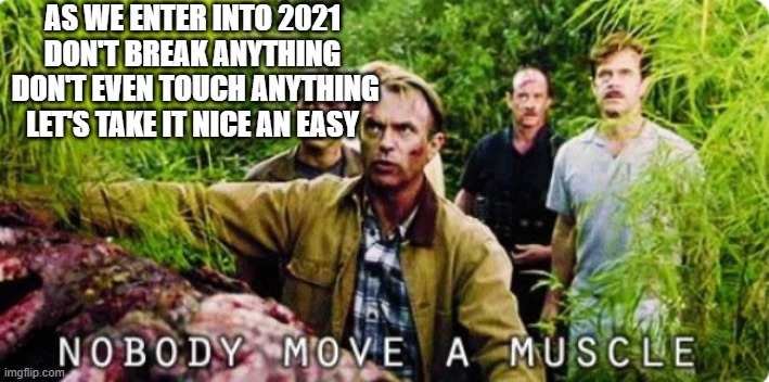 Nobody move a muscle | AS WE ENTER INTO 2021
DON'T BREAK ANYTHING
 DON'T EVEN TOUCH ANYTHING
LET'S TAKE IT NICE AN EASY | image tagged in nobody move a muscle | made w/ Imgflip meme maker