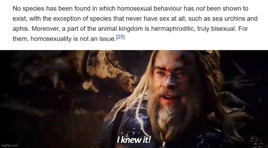 I KNEW IT! IT'S TRUE! | image tagged in i knew it thor,homosexual,animals,lgbt | made w/ Imgflip meme maker