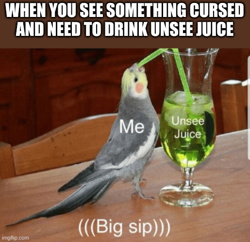 Unsee juice | WHEN YOU SEE SOMETHING CURSED AND NEED TO DRINK UNSEE JUICE | image tagged in unsee juice | made w/ Imgflip meme maker