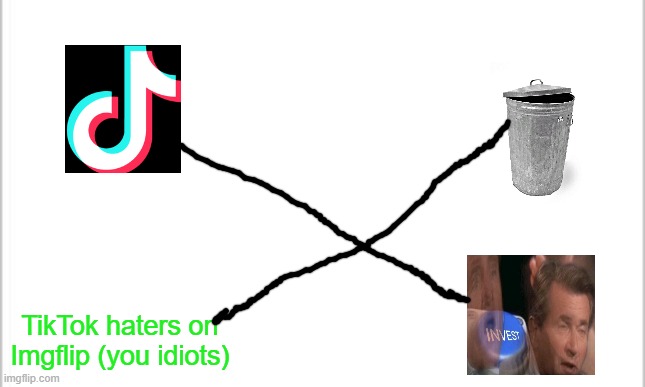 white background | TikTok haters on Imgflip (you idiots) | image tagged in white background | made w/ Imgflip meme maker