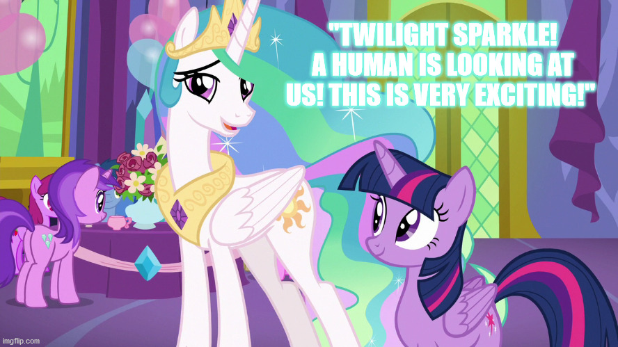 Act casual | "TWILIGHT SPARKLE! A HUMAN IS LOOKING AT US! THIS IS VERY EXCITING!" | image tagged in mlp,princess celestia,twilight sparkle | made w/ Imgflip meme maker