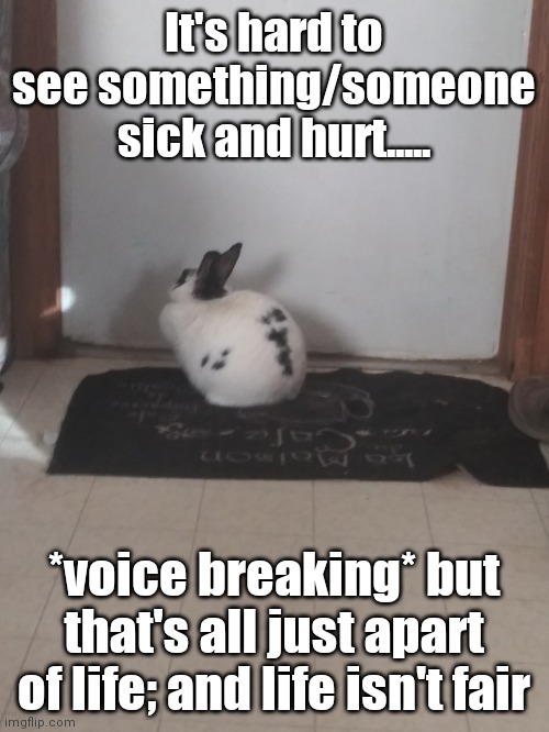 ...... | It's hard to see something/someone sick and hurt..... *voice breaking* but that's all just apart of life; and life isn't fair | image tagged in animals | made w/ Imgflip meme maker