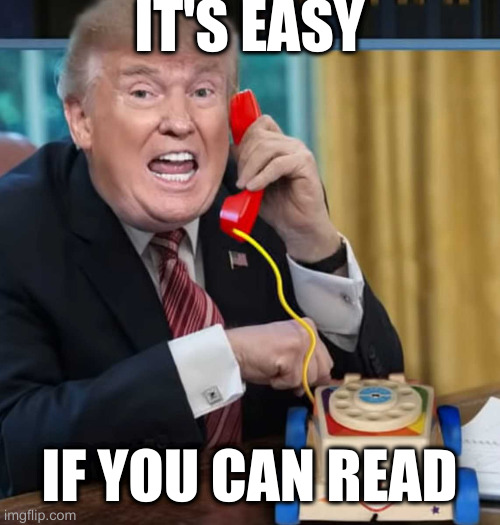 Someone asked rumpt why following the basic rules of government is so hard for him. His reply: | IT'S EASY; IF YOU CAN READ | image tagged in i'm the president,punchiline,unchline,lunchline,rumpt | made w/ Imgflip meme maker