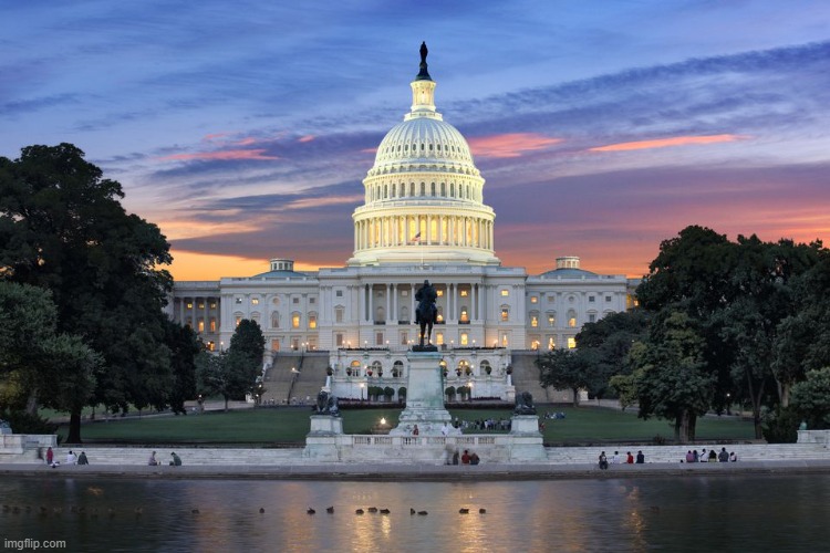 Washington DC swamp | image tagged in washington dc swamp | made w/ Imgflip meme maker