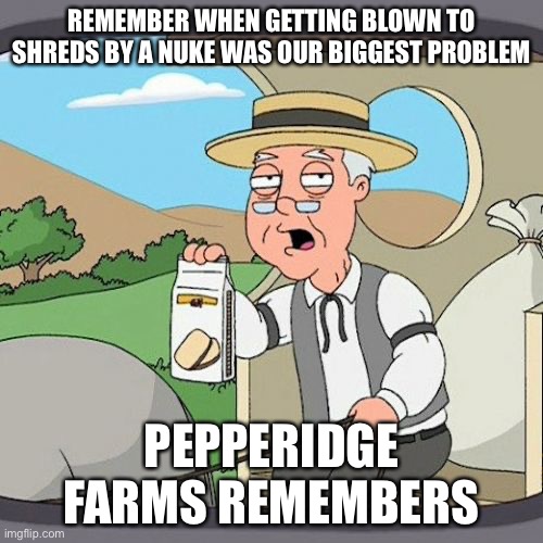 Pepperidge Farm Remembers | REMEMBER WHEN GETTING BLOWN TO SHREDS BY A NUKE WAS OUR BIGGEST PROBLEM; PEPPERIDGE FARMS REMEMBERS | image tagged in memes,pepperidge farm remembers | made w/ Imgflip meme maker