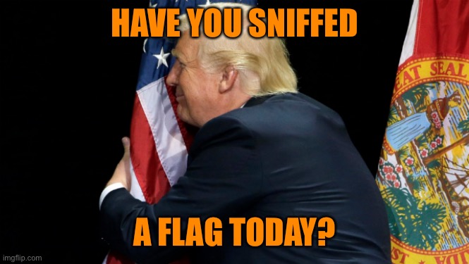 Sniff and sniffing Trump | HAVE YOU SNIFFED; A FLAG TODAY? | image tagged in donald trump,maga,american flag,sniff,weird stuff,funny | made w/ Imgflip meme maker