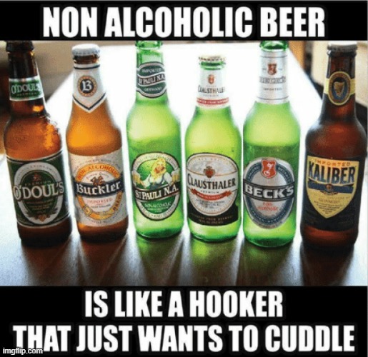 No one drinks beer for the flavor... | image tagged in non alcoholic beer,memes,funny | made w/ Imgflip meme maker