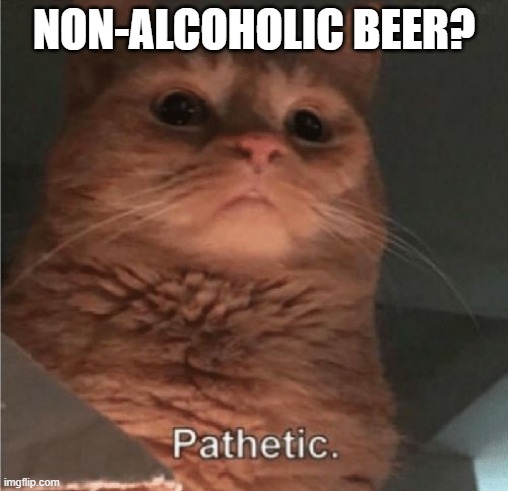 Pathetic Cat | NON-ALCOHOLIC BEER? | image tagged in pathetic cat | made w/ Imgflip meme maker