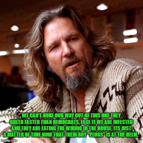 Confused Lebowski Meme | WE CAN'T NUKE OUR WAY OUT OF THIS ONE THEY BREED FASTER THAN DEMOCRATS, FACE IT WE ARE INFESTED AND THEY ARE EATING THE WIRING IN THE HOUSE. | image tagged in memes,confused lebowski | made w/ Imgflip meme maker