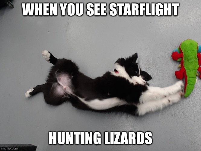 Starflight hunting | WHEN YOU SEE STARFLIGHT; HUNTING LIZARDS | image tagged in streccch | made w/ Imgflip meme maker