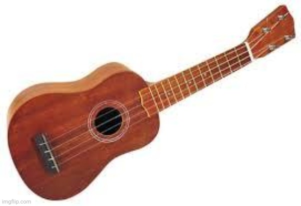 Exotice Ukulele | image tagged in exotice ukulele | made w/ Imgflip meme maker