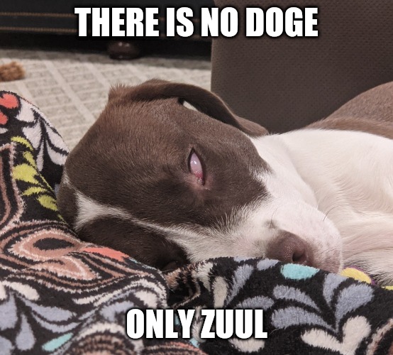I would like to speak to doge plz | THERE IS NO DOGE; ONLY ZUUL | image tagged in zuul,ghostbusters,doge | made w/ Imgflip meme maker