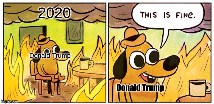 This Is Fine | 2020; Donald Trump; Donald Trump | image tagged in memes,this is fine | made w/ Imgflip meme maker